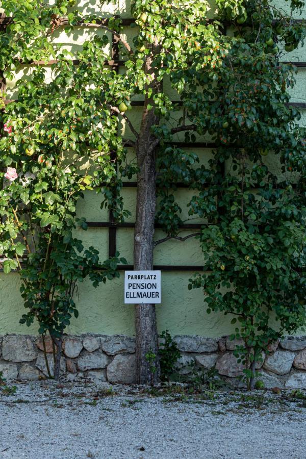 Aberseeblick Pension Ellmauer Saint Wolfgang Zewnętrze zdjęcie